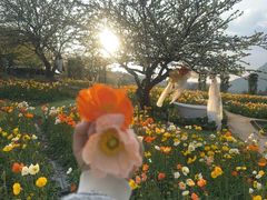-名花谷生态庄园