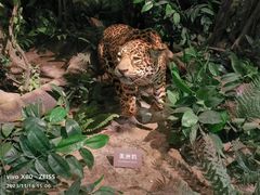 -上方山森林动物世界