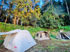 -重庆睡佛山森林公园