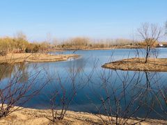 -东郊湿地公园