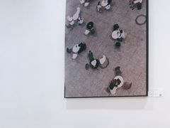 -常识咖啡common sense(春熙路店)