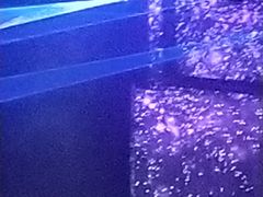 -宝能国际体育演艺中心