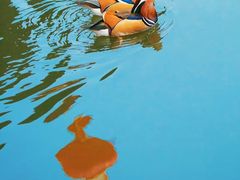 -北海公园