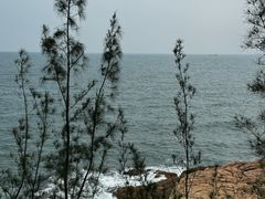 -广东惠东海龟国家级自然保护区