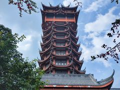 -塔子山公园