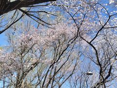 -北京奥林匹克公园