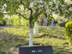 -元大都城垣遗址公园