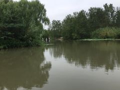 景点-溱湖国家湿地公园