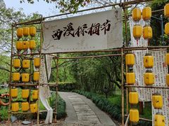 -西溪国家湿地公园