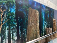 -延庆地质公园博物馆