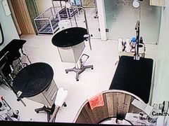 -鼎级派宠物(中南店)