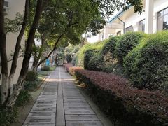 -上海市保健医疗中心(华东疗养院)
