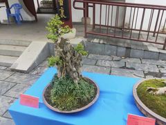 -堤角公园