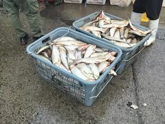 -白沙洲农产品大市场-海鲜交易区