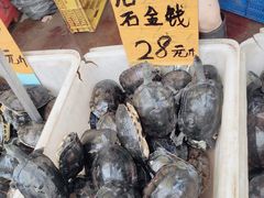 -香港龟正盅 手作糖水甜品龟苓膏(千灯湖环宇城店)