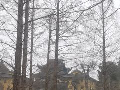 -九华山风景区月身宝殿