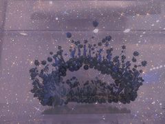 -CHAFORU星卡里(长江二路店)