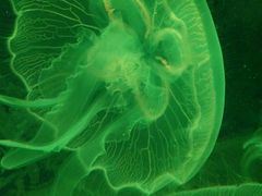 -临沂极地海洋王国