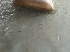 -碧水湾温泉