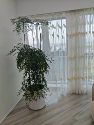 -HEYAN荷妍专业脱毛连锁机构