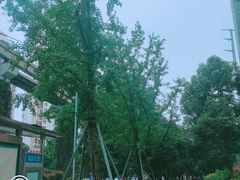 -乡村基(南坪上海城店)
