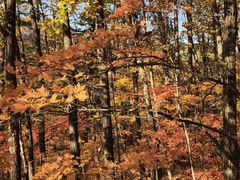 -五女峰国家森林公园