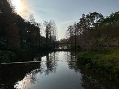 -云溪植物园