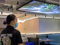 -探窝·竹笙椰子鸡(杨箕店)