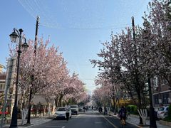 -天津五大道文化旅游区