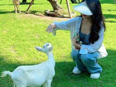 -东南花都花博园