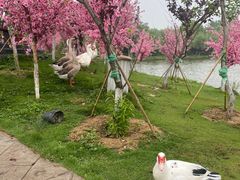 -木兰水镇旅游景区