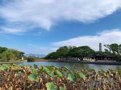 -江心屿景区