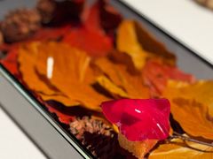 -Bleston Court Yukawatan