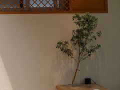 -VOYAGE COFFEE(杨梅竹店)