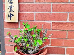 -尺山寸水日料(马桥满天星店)