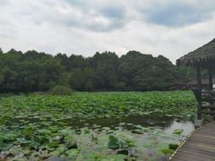 -兰亭风景区
