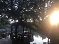 -东莞市可园博物馆