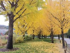 -北京植物园-展览温室