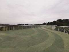-飞凤山奥体公园