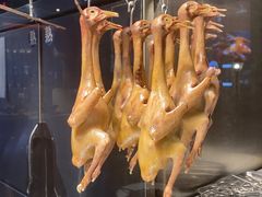 -三强鸽子(中原路店)