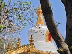 -护国法轮寺