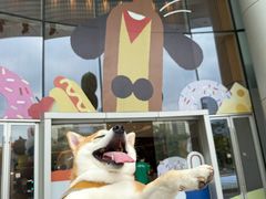 -深圳来福士广场