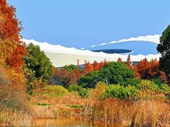 -贡湖湾湿地公园