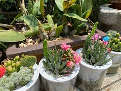 -园林美食城·本土农家菜(杨和镇店)