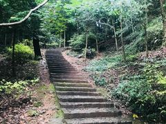 -上海佘山国家森林公园天马山园