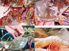-蓝珊甄选海鲜自助·火锅大排档(近阿那亚店)