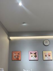 -洗脸猫·洗脸吧