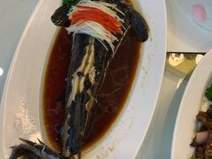 -红高粱大酒店(宁山东路店)
