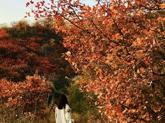 -鬼笑石后山停车场