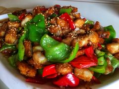 -煲来饱去冷水鱼